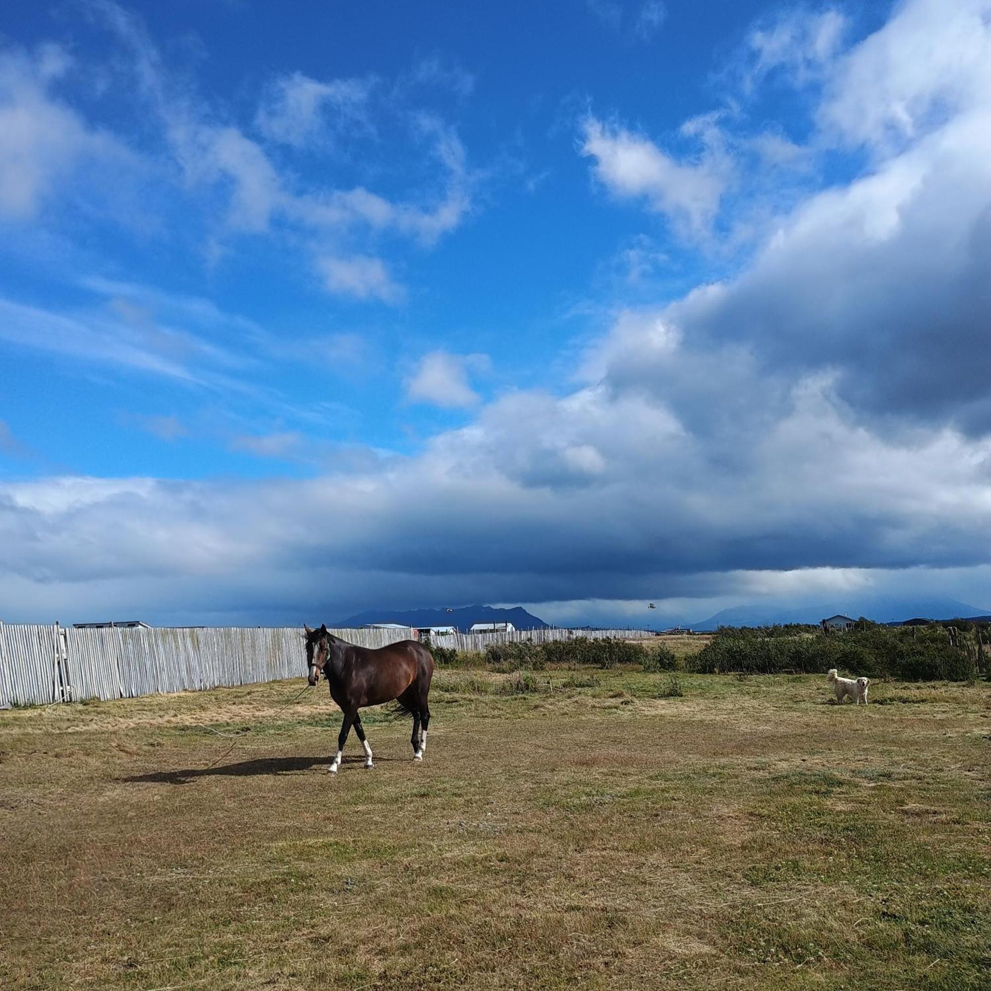 Apartamento Tyni House Puerto Natales Exterior foto